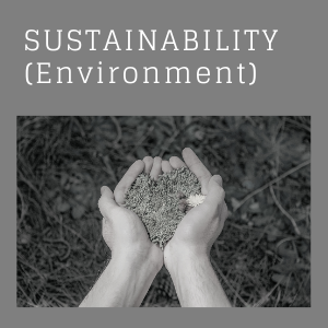 Sustainability (Environment)